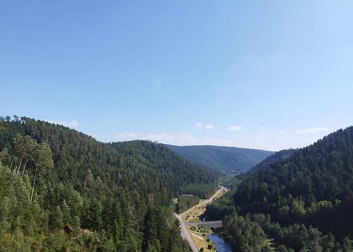 度假居 Mirabelle Moyenmoutier